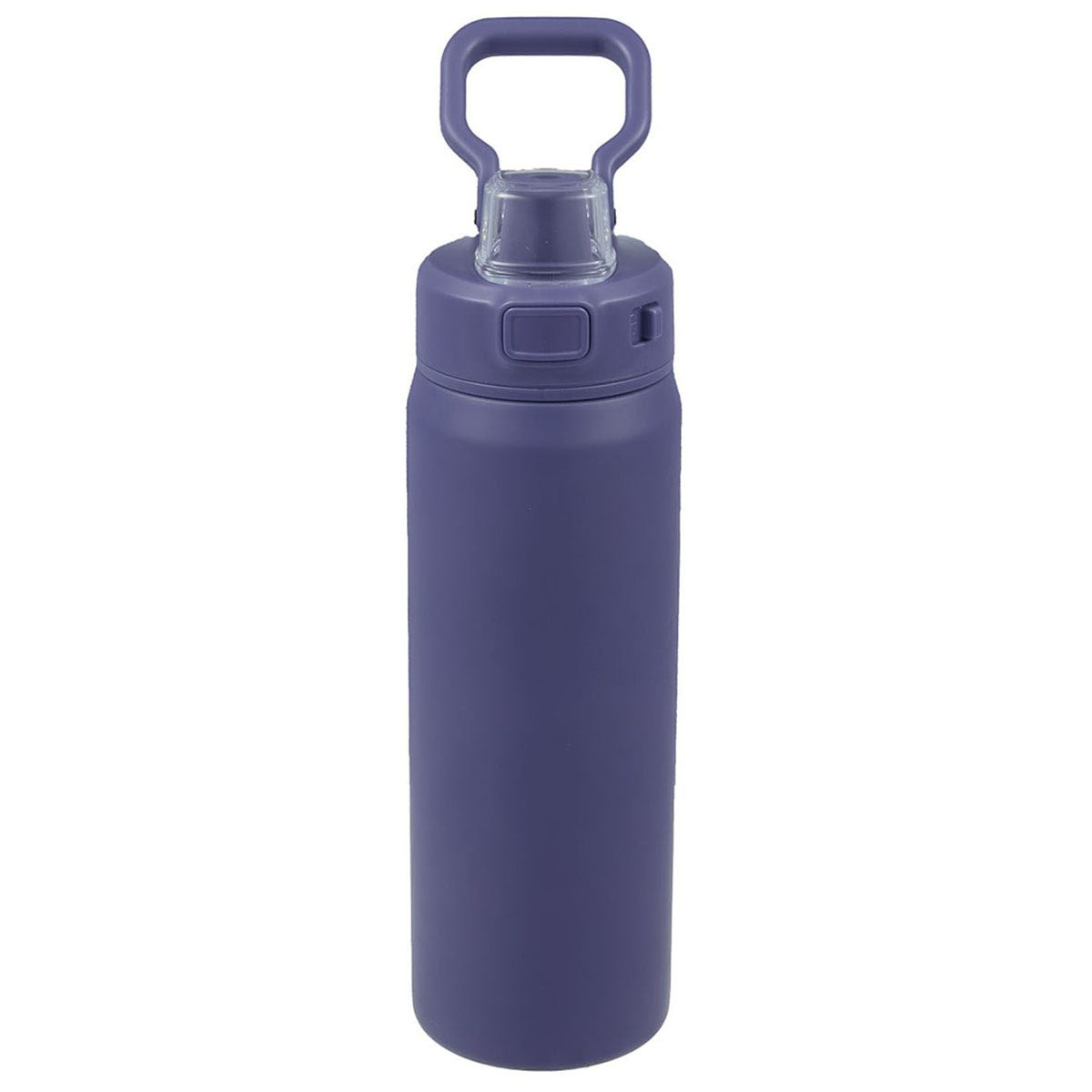 Leed's Future Dusk Canyon Recycled Stainless Steel Bottle 30oz