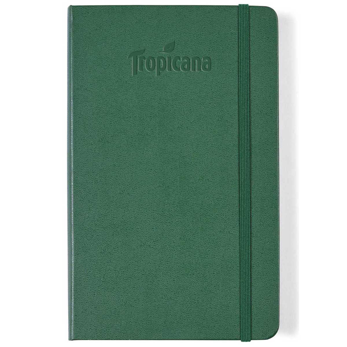 48-Hour Moleskine Myrtle Green Hard Cover Ruled Large Notebook (5" x 8.25")
