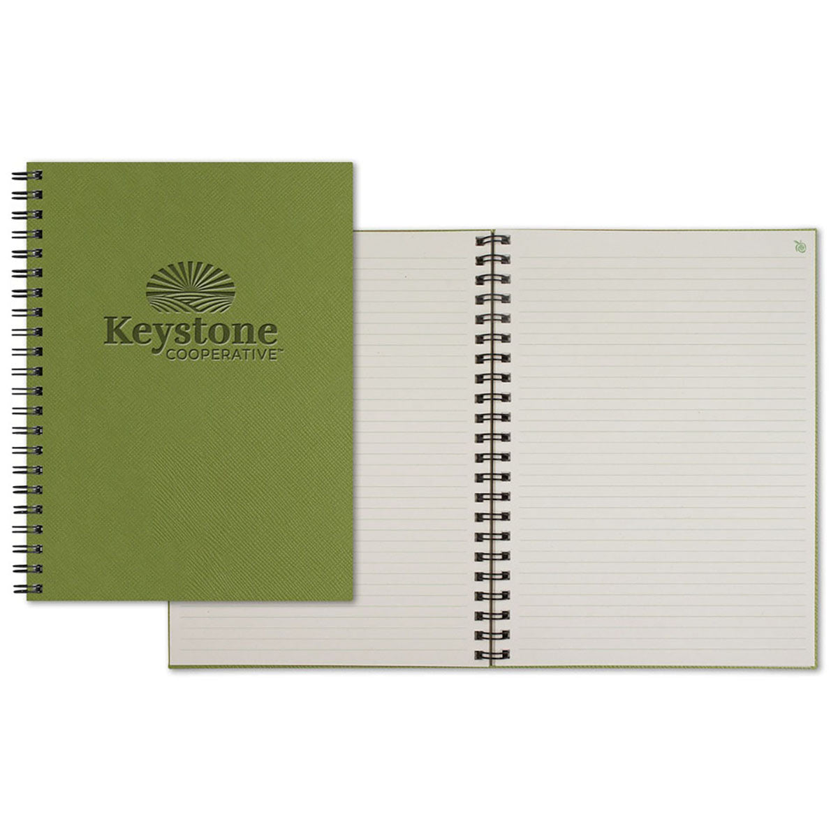 ApPeel WireO Light Green Ortisei Grande XL Apple Lined Pg Journal