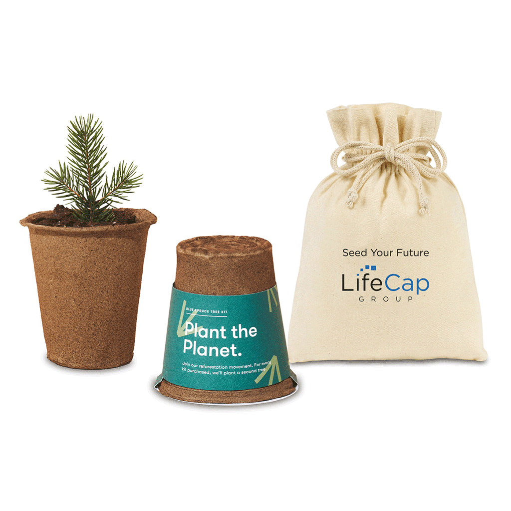 Modern Sprout Dark Teal One for One Tree Kits