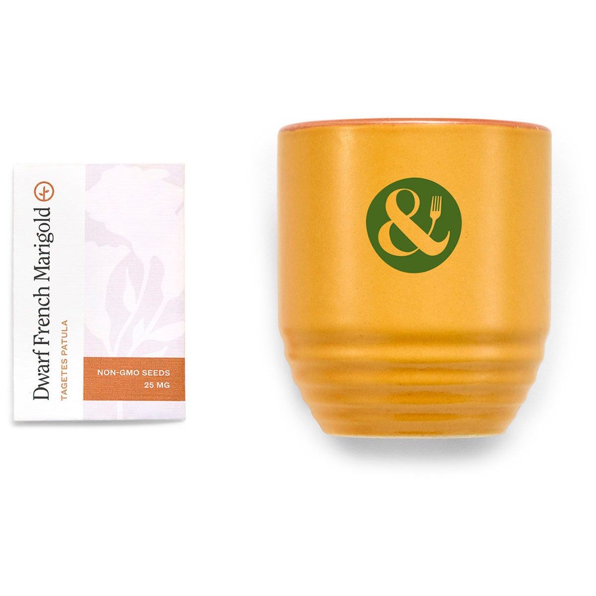 Modern Sprout Last Light/Marigold Garden Vibes Candle/Planter