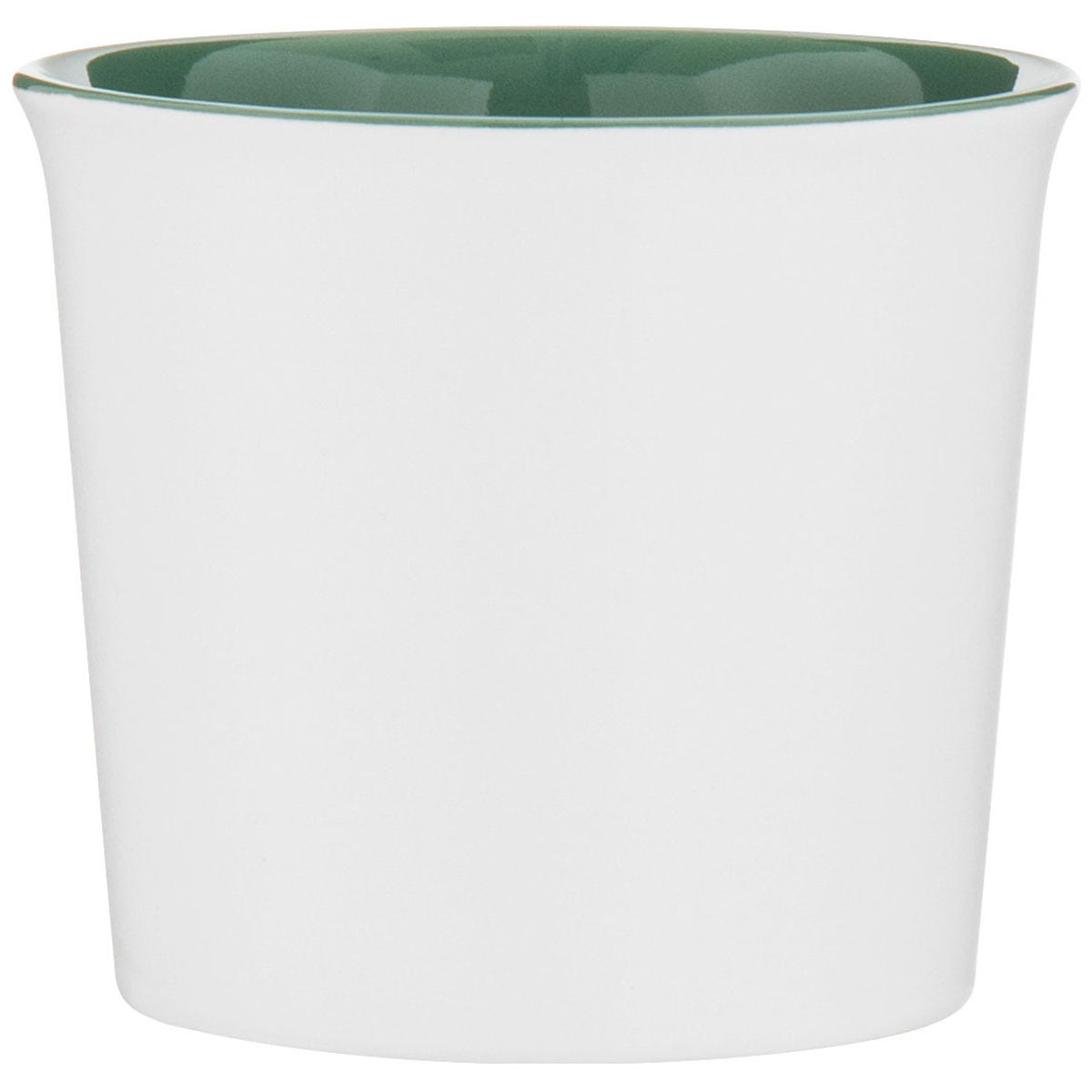 ETS Express Sage Cavetto 11oz Ceramic Mug