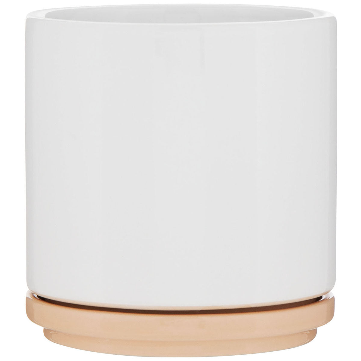 ETS Express Vanilla Blume 22oz Ceramic Planter