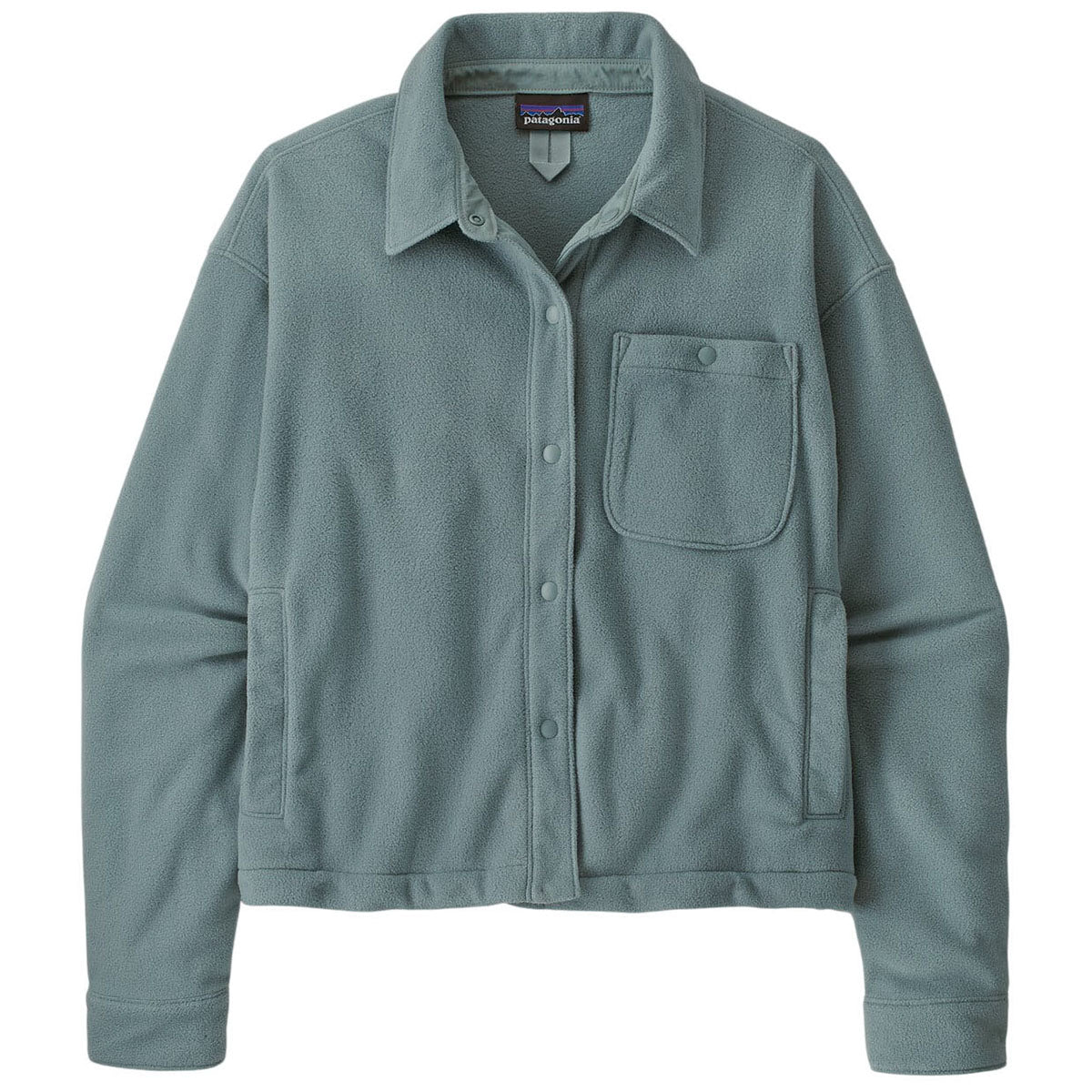 Patagonia Women's Blue Sage Micro D Fleece Shirt Jacket