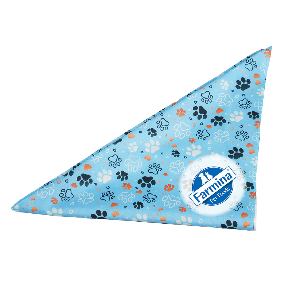 Evans Custom Sublimated RPET Bandana