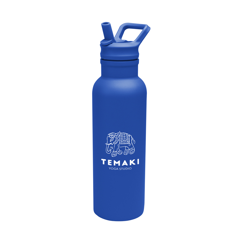 Hit Blue 17 Oz. Hailey Recycled Stainless Steel Bottle