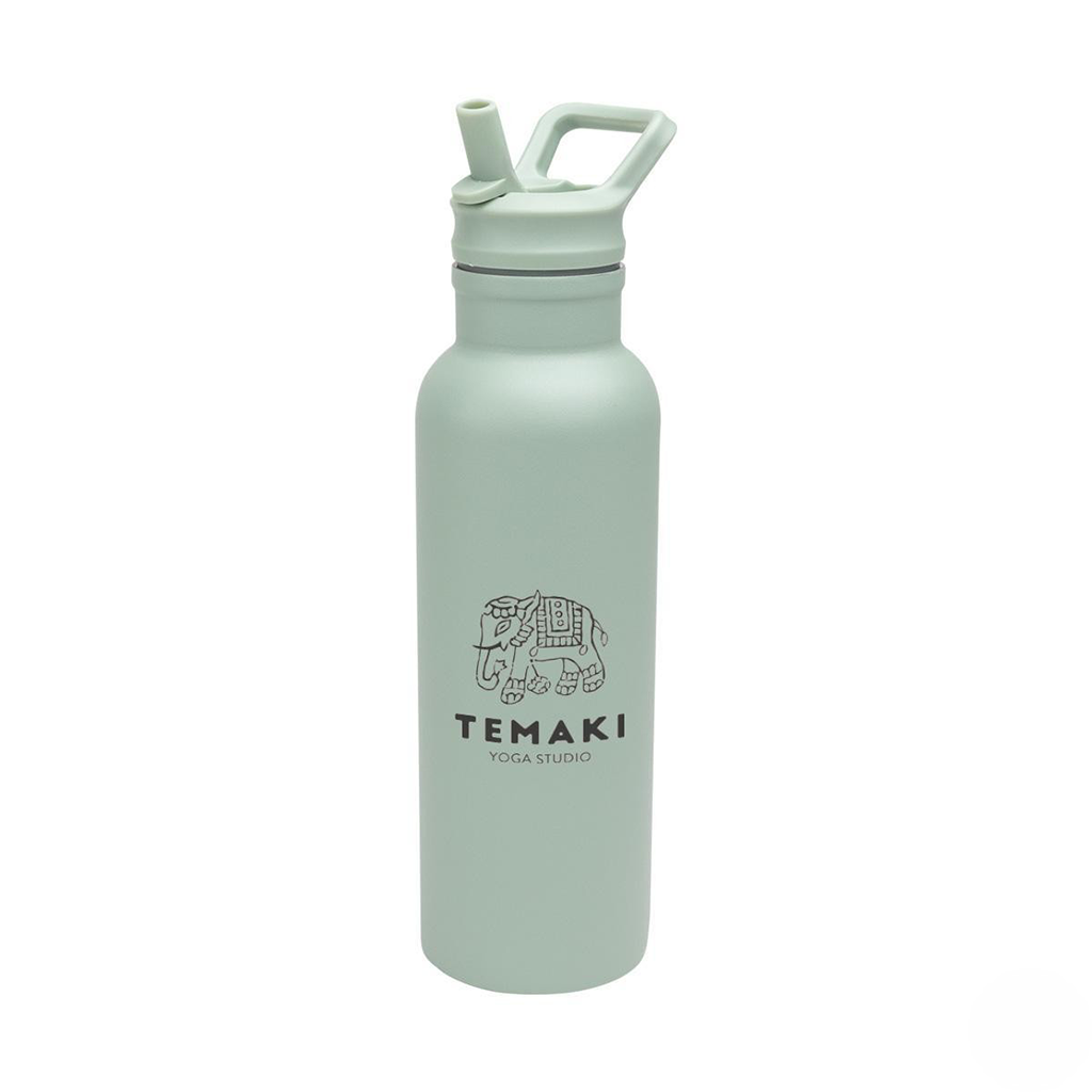 Hit Sage 17 Oz. Hailey Recycled Stainless Steel Bottle