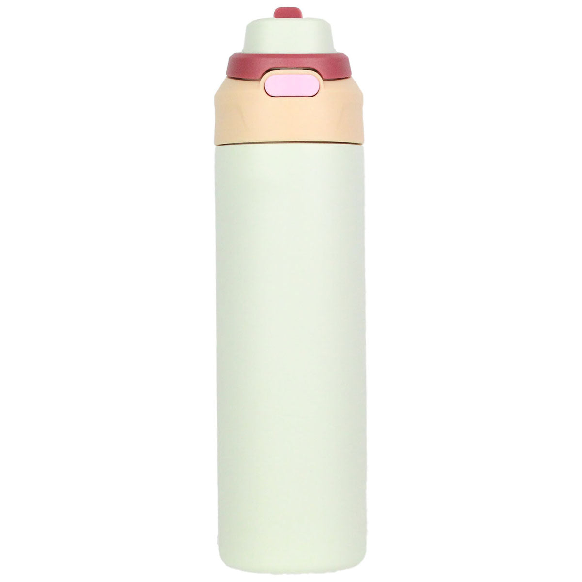 Oya Mint Green 24 oz Stainless Steel Bottle with 2 in 1 lid