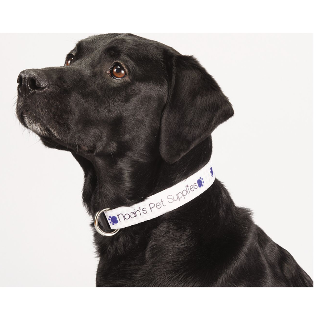 Bullet Custom Full Color 1" Wide Adjustable Pet Collar