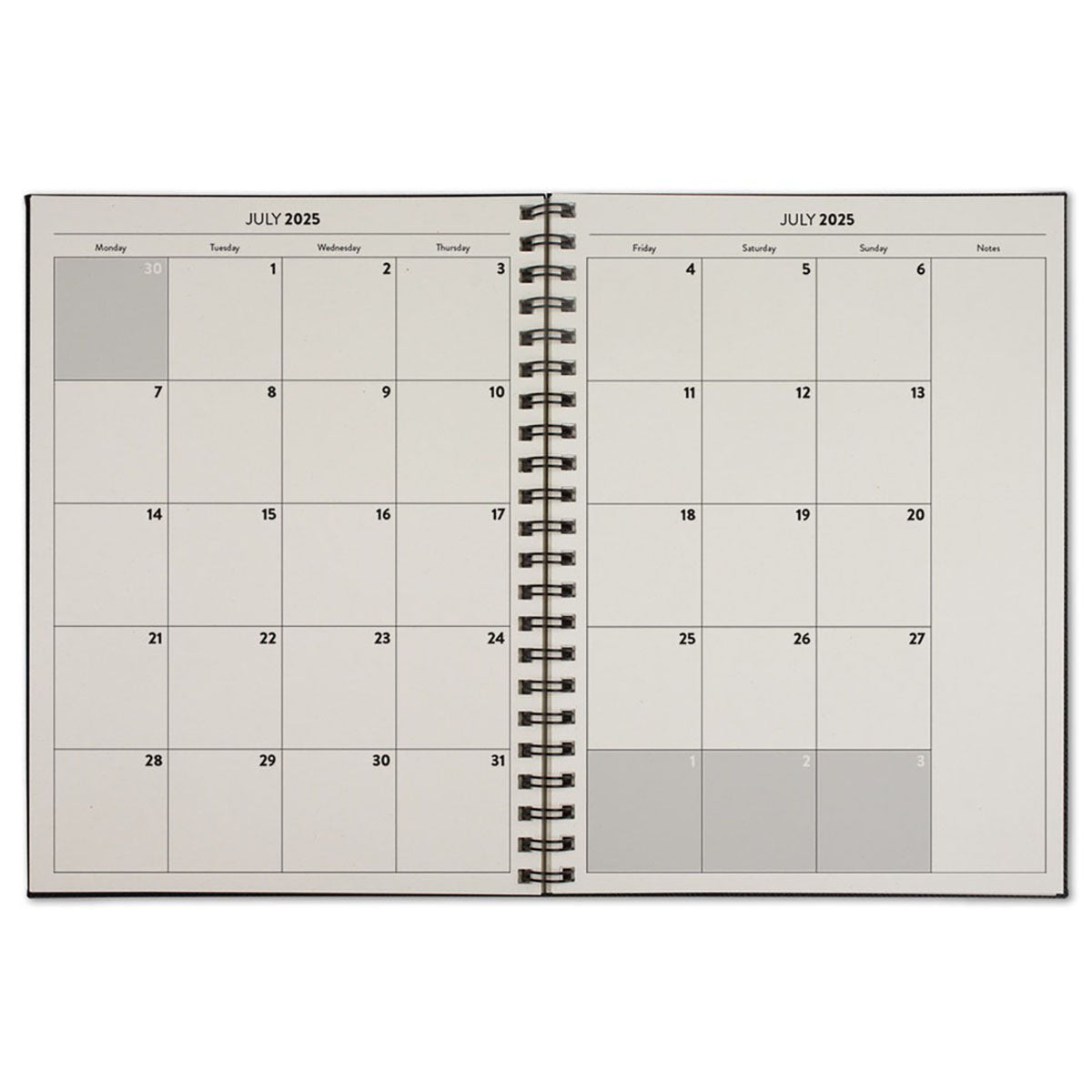 ApPeel WireO Light Green Ortisei Grande XL Apple Academic Planner
