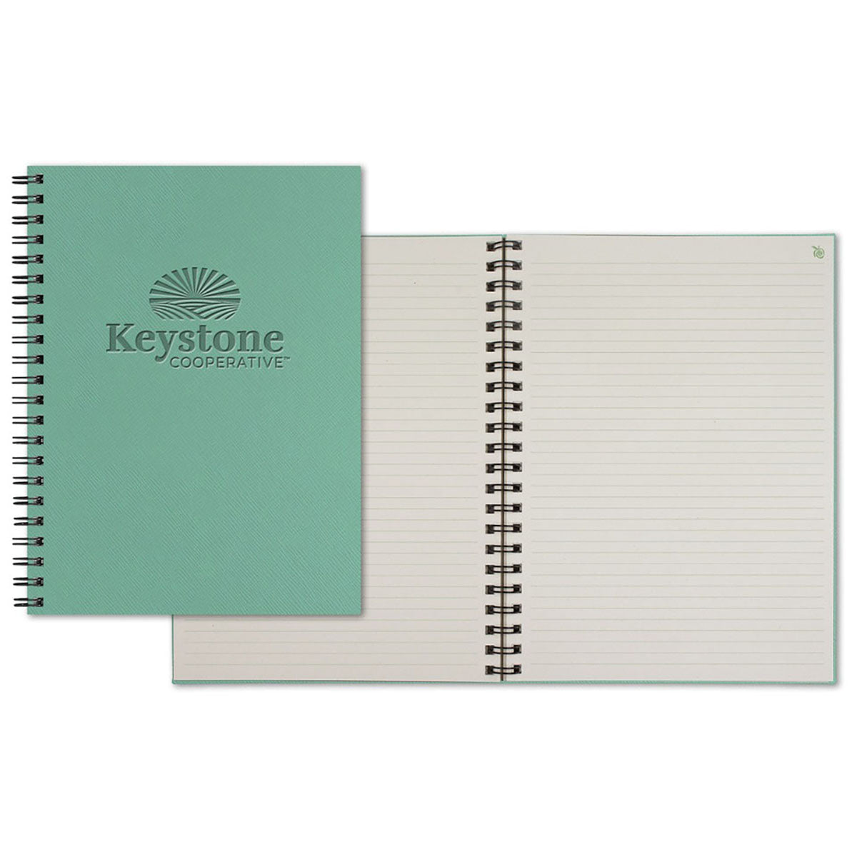 ApPeel WireO Aqua Ortisei Grande XL Apple Lined Pg Journal